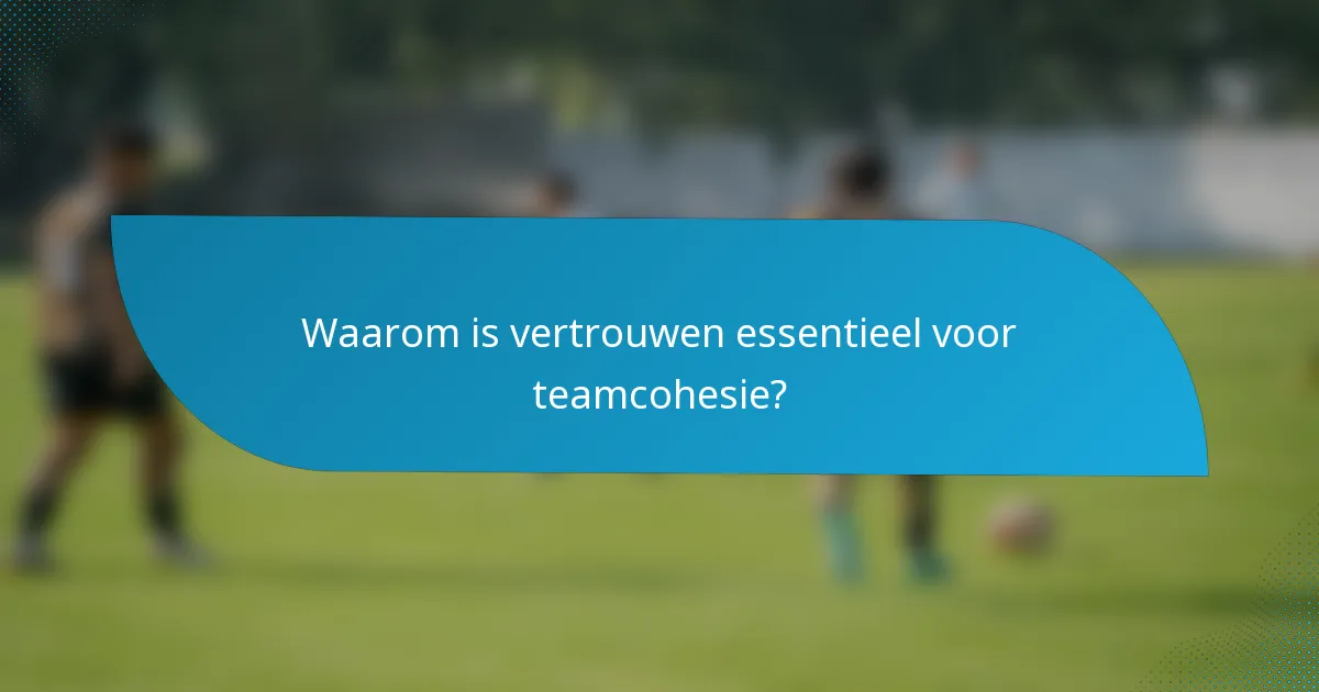 Waarom is vertrouwen essentieel voor teamcohesie?